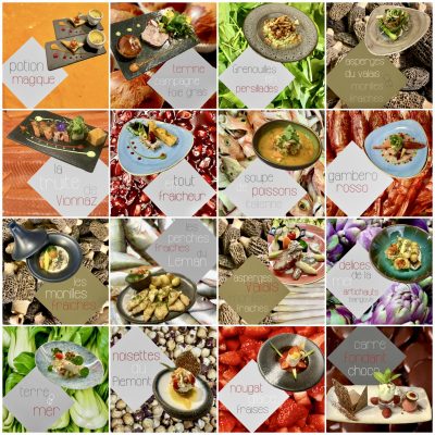 collage_export_997c3ffa-0c73-4ec3-bc82-56744d8d8118